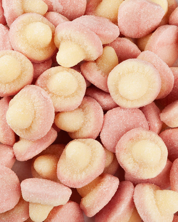 Champignons enrobés de sucre (500g)