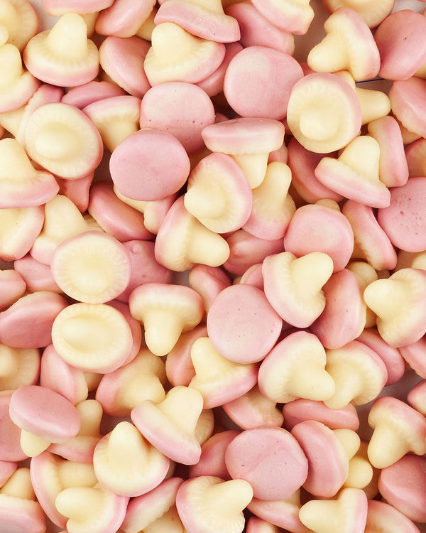 Champignons sans sucre (500g)